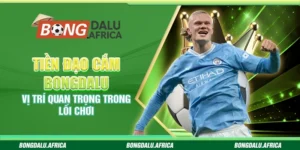 Tiền Đạo Cắm Bongdalu - Vị Trí Quan Trọng Trong Lối Chơi