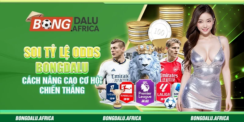 Soi Tỷ Lệ Odds Bongdalu – Cách Nâng Cao Cơ Hội Chiến Thắng