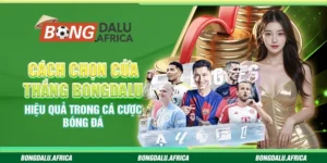 Cách Chọn Cửa Thắng Bongdalu – Hiệu Quả Trong Cá Cược Bóng Đá