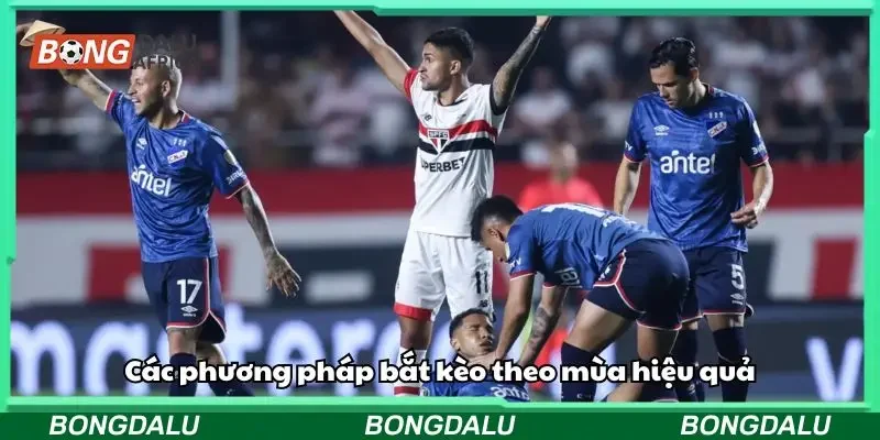 Bắt kèo theo mùa còn đòi hỏi người chơi trang bị những phương pháp