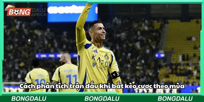 Phân tích trận không còn là việc riêng lẻ khi bạn áp dụng bắt kèo theo mùa