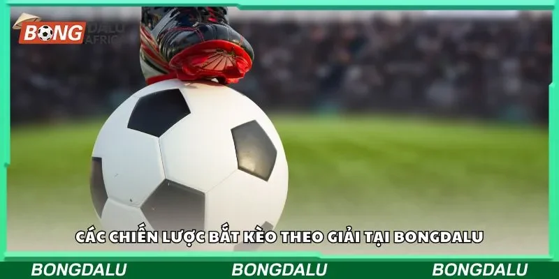 Các chiến lược bắt kèo theo giải tại bongdalu