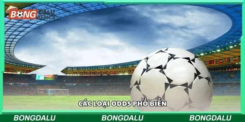 Các loại odds phổ biến