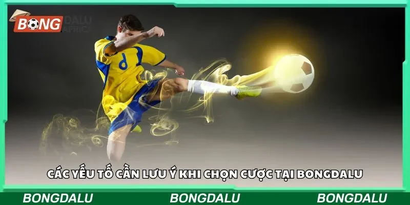 Các yếu tố cần lưu ý khi chọn cược tại Bongdalu