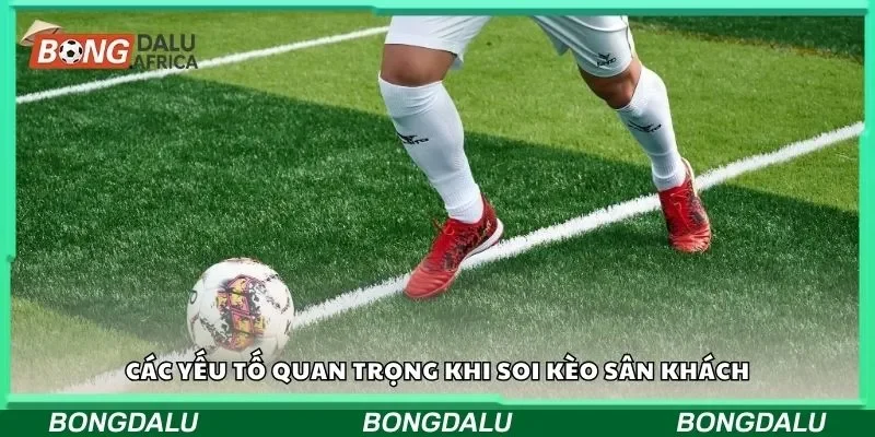 Các yếu tố quan trọng khi soi kèo sân khách