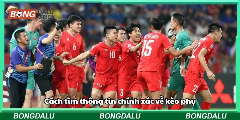 Các cách tìm kiếm thông tin kèo phụ chính xác 