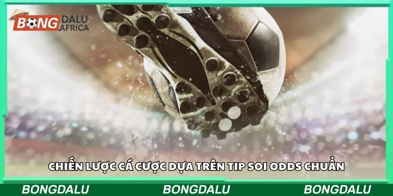 Chiến lược cá cược dựa trên tip soi odds chuẩn