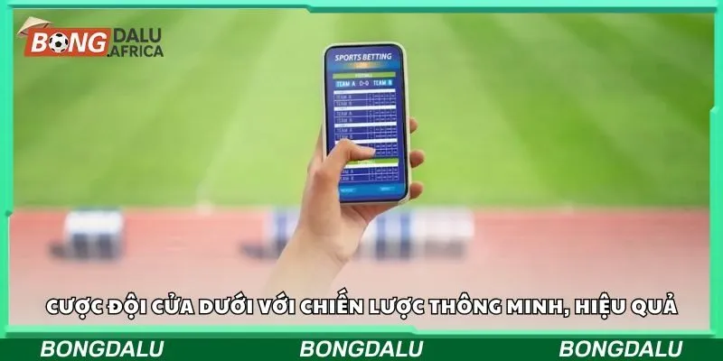 Cược đội cửa dưới với chiến lược thông minh, hiệu quả
