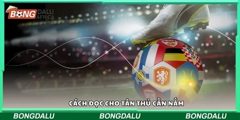 Cách đọc cho tân thủ cần nắm