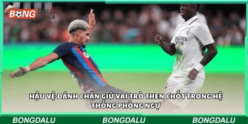 Hậu vệ đánh chặn giữ vai trò then chốt trong hệ thống phòng ngự