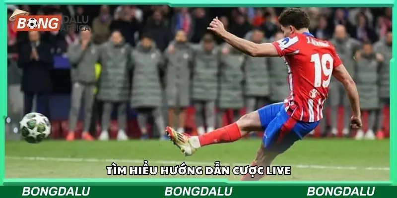 Tìm hiểu hướng dẫn cược live