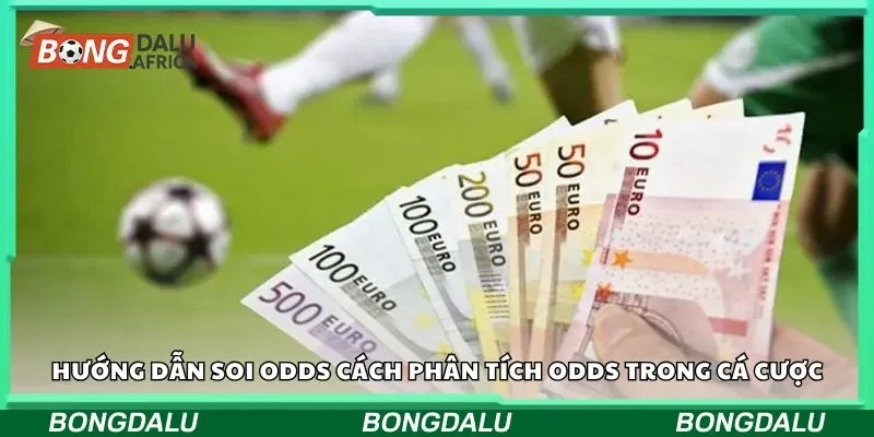 Hướng dẫn soi odds cách phân tích odds trong cá cược
