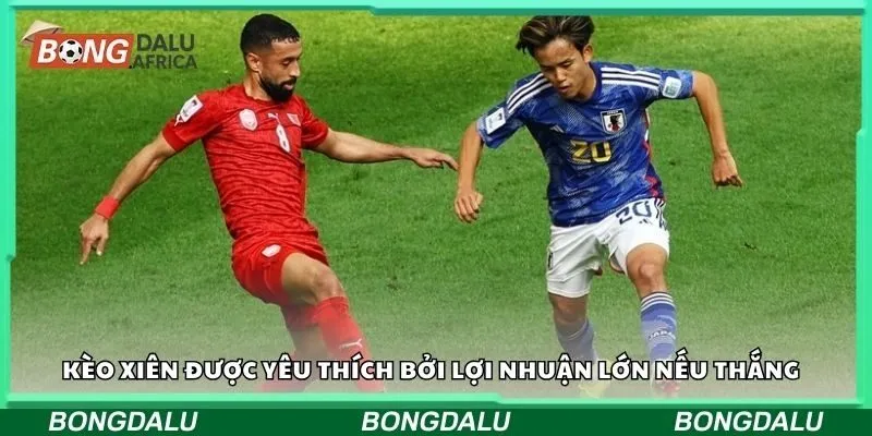 Kèo xiên được yêu thích bởi lợi nhuận lớn nếu thắng  