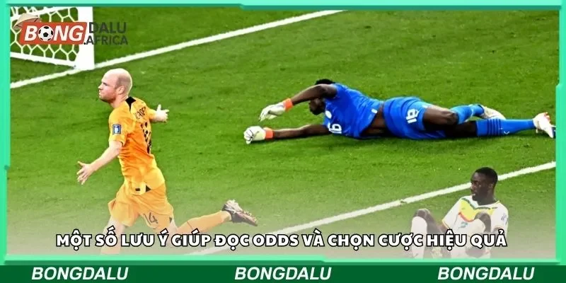 Một số lưu ý giúp đọc odds và chọn cược hiệu quả 