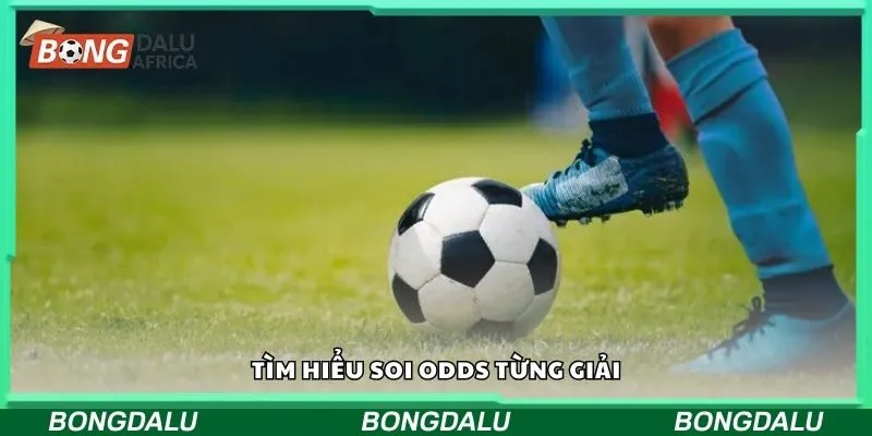 Tìm hiểu soi odds từng giải
