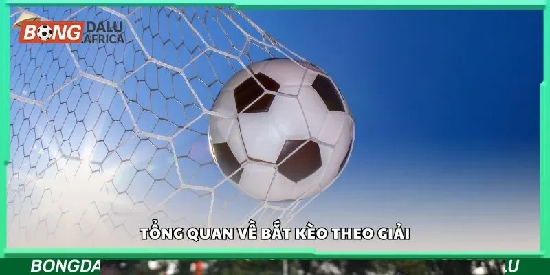 Tổng quan về bắt kèo theo giải